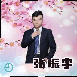 张振宇